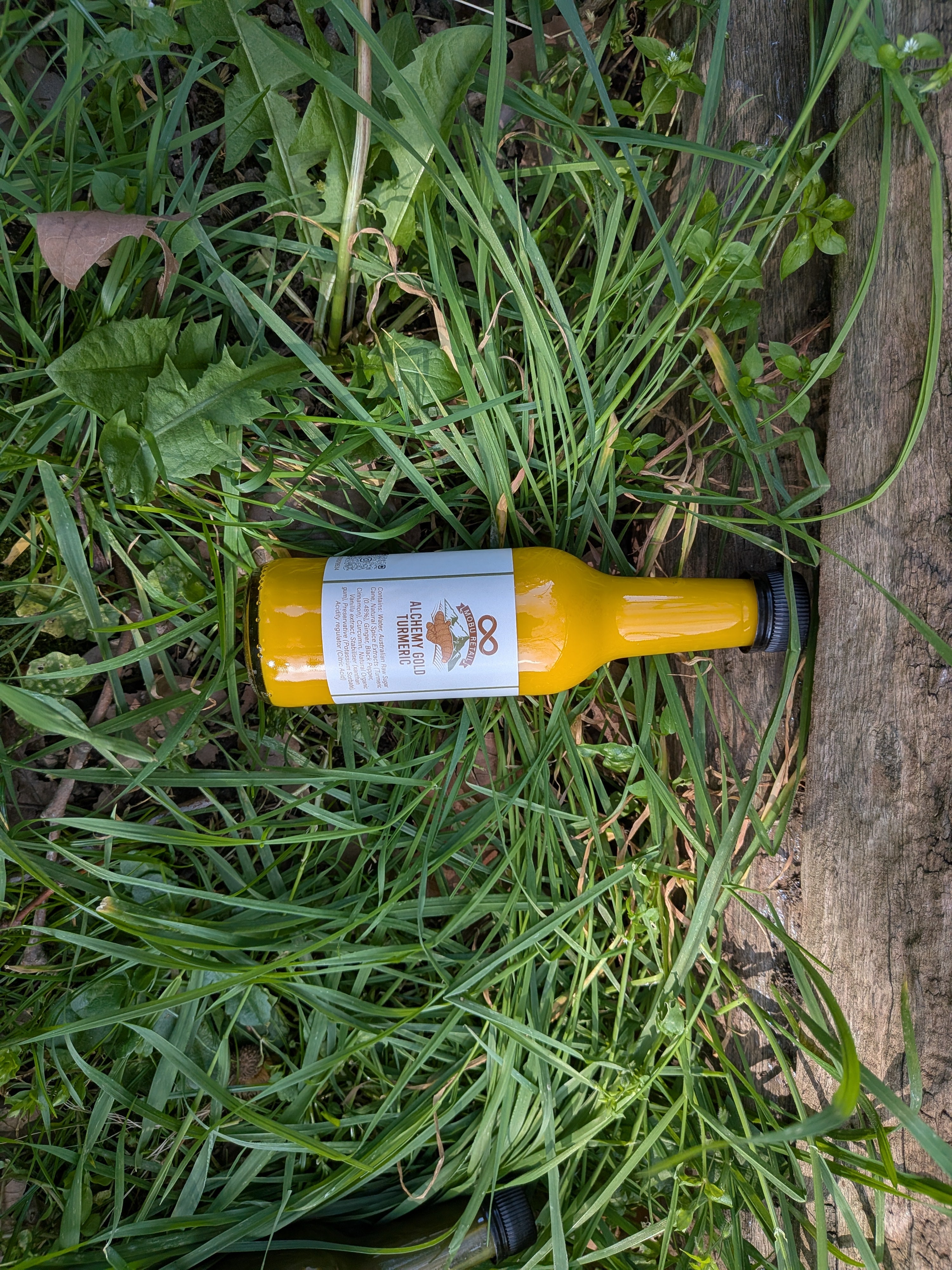Alchemy Gold Turmeric